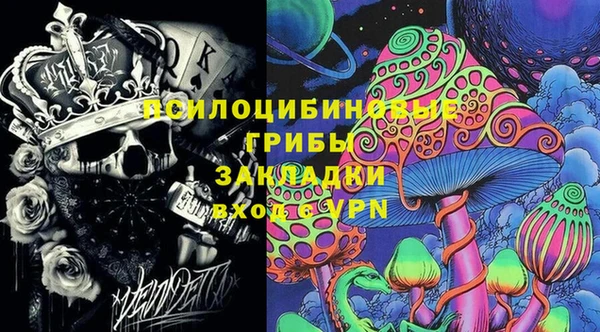 эйфоретик Арсеньев