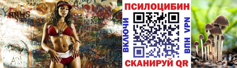 дарнет шоп  Родники  Галлюциногенные грибы GOLDEN TEACHER 